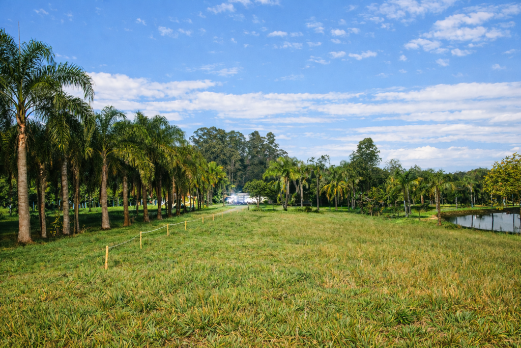 Sitio Aruanda - Triunfo/RS